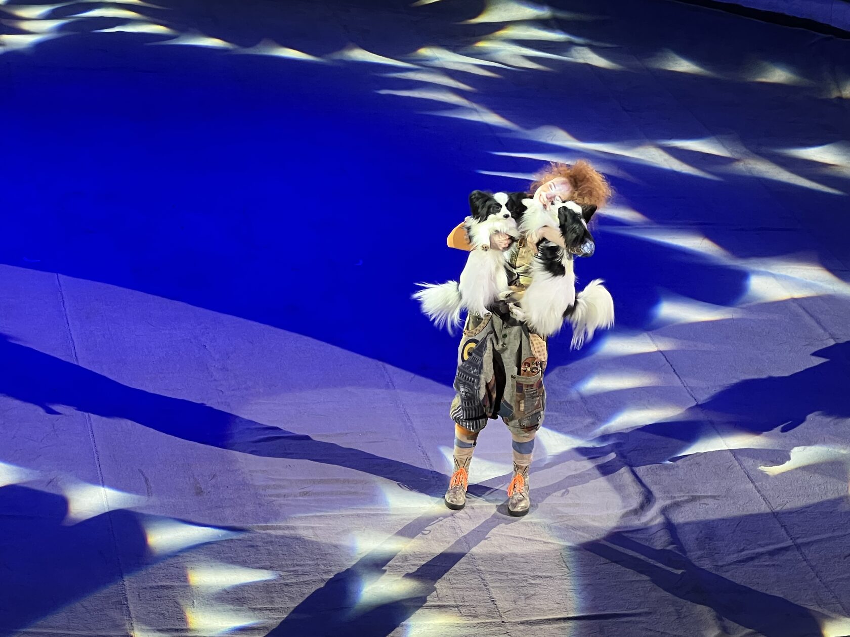 новогодняя феерия краснодар. новогодняя ярмарка. новогодняя феерия. новогодняя феерия цирк краснодар. новогодняя елка из детей.