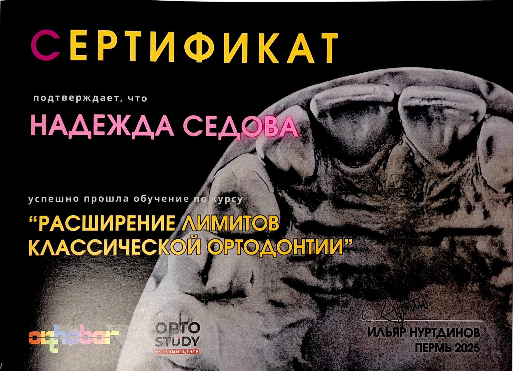 Сертификат 8