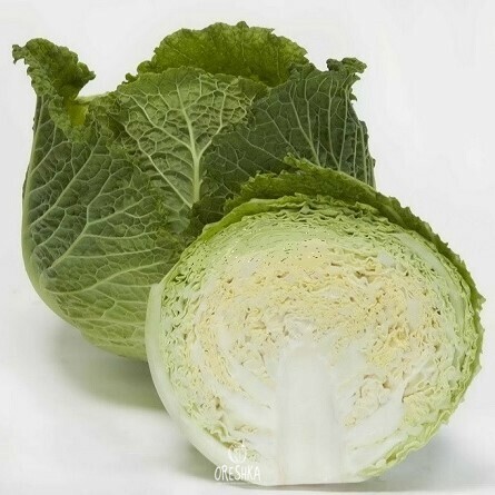 Seeds of Savoy cabbage Vertu (Brassica oleracea var. sabauda) — 30 pcs