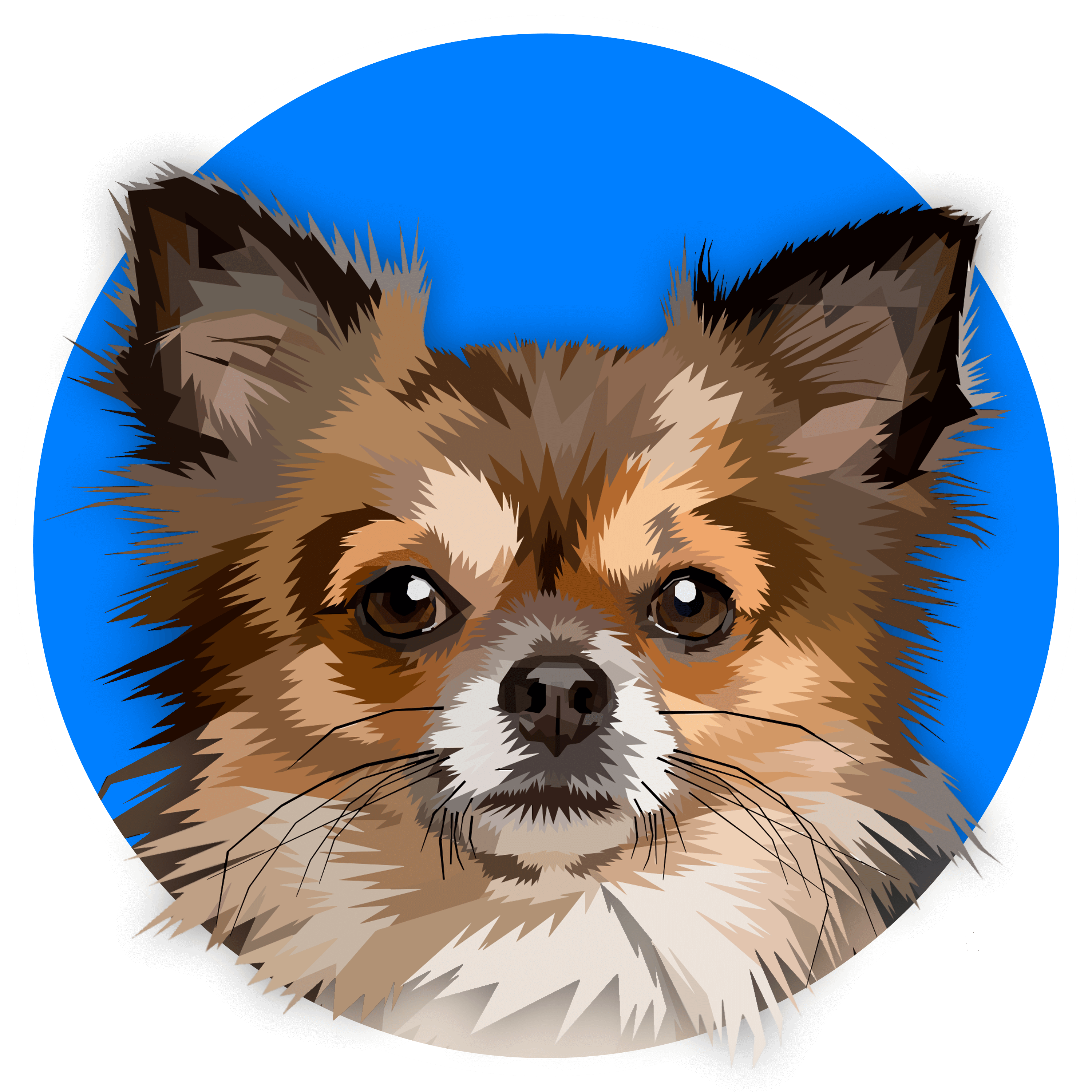 Свой грумер Волхов