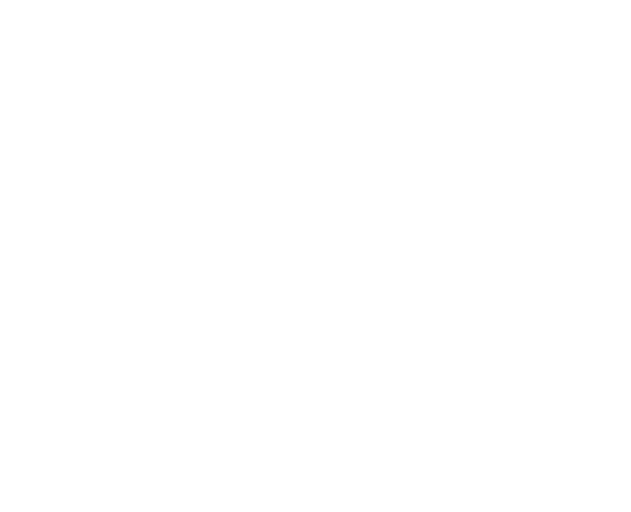 Светлана Карасева