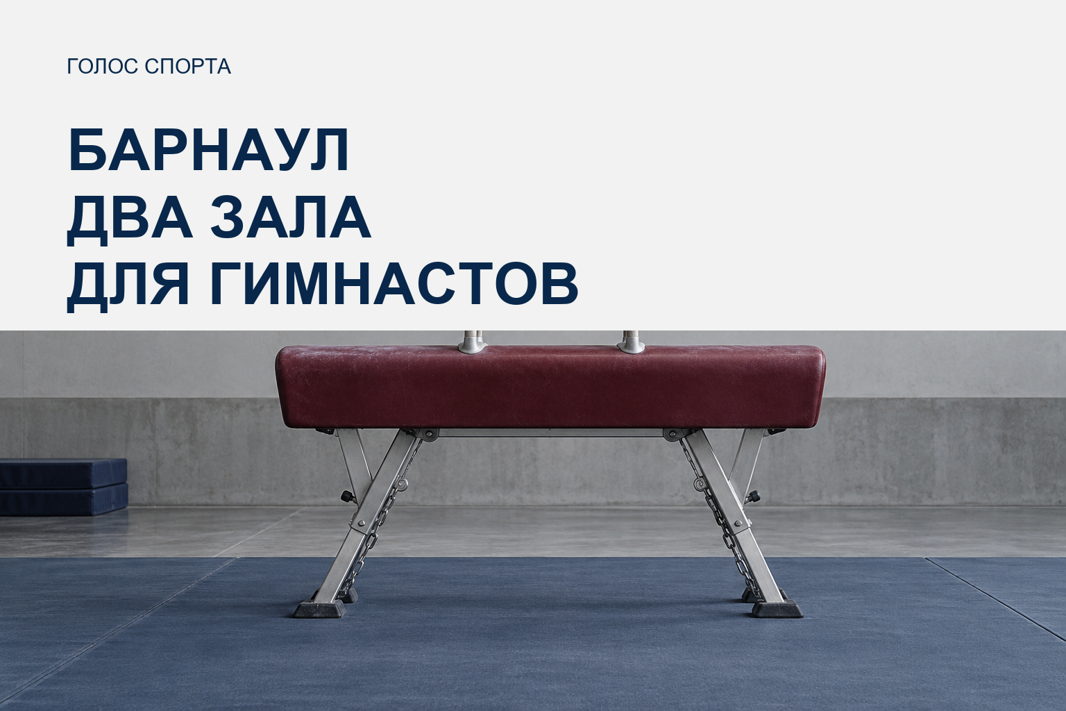 В Барнауле начали строить два гимнастических зала в спортивном кластере на 6,3 га