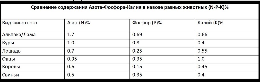 Коэффициент фосфора. Содержание фосфора в навозе. Содержание азота фосфора и калия в навозе. Содержание фосфора и калия в почве. Содержание калия в навозе.