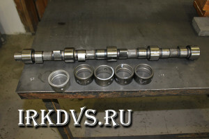 IRKDVS. Наши работы.