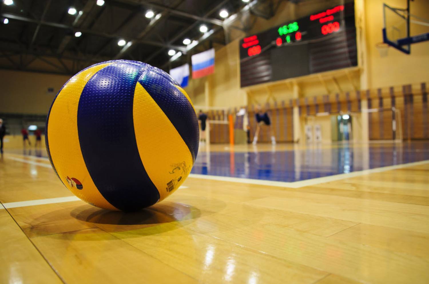 Футбольные и волейбольные мячи для компании Самсунг Электроникс