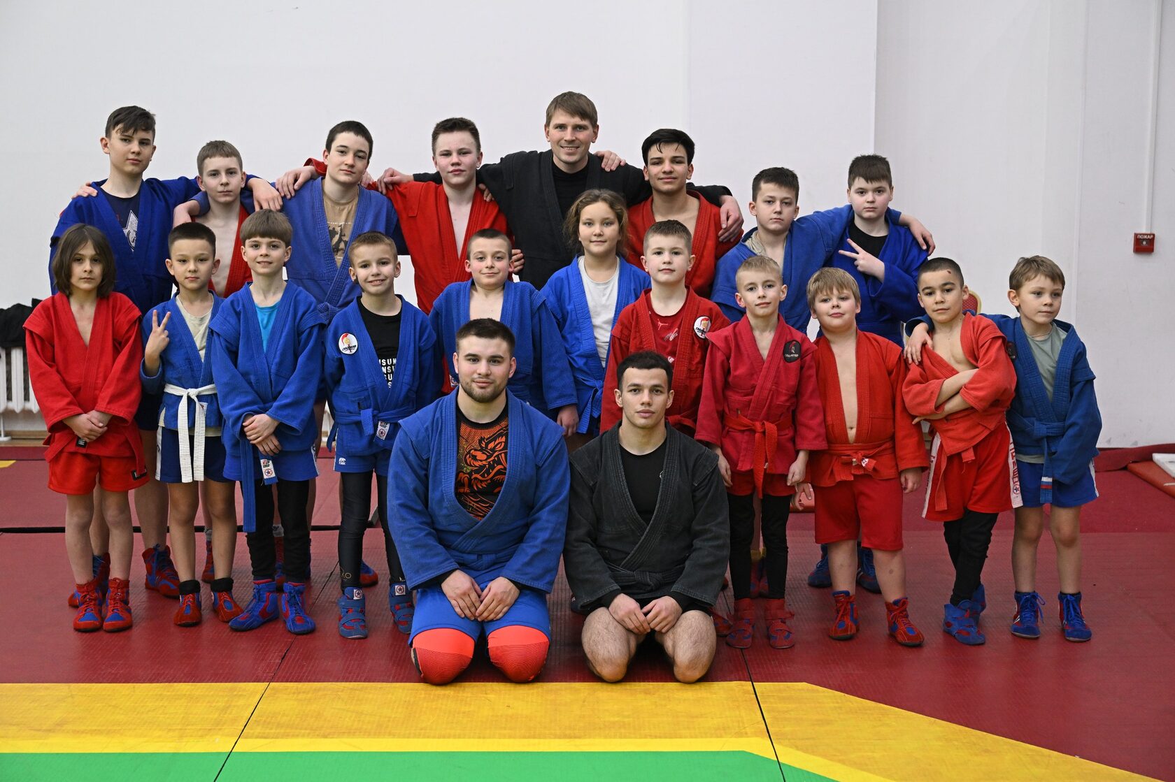 Гладиатор сборы