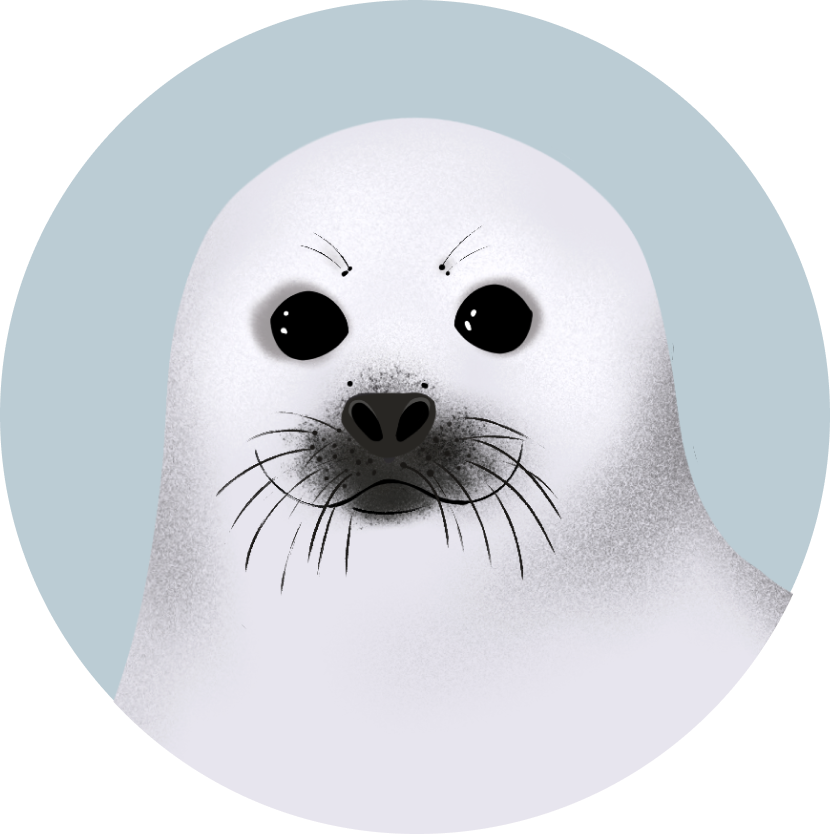 4 года успешно реализуется программа по⦁изучению байкальского эндемика⦁— нерпы.