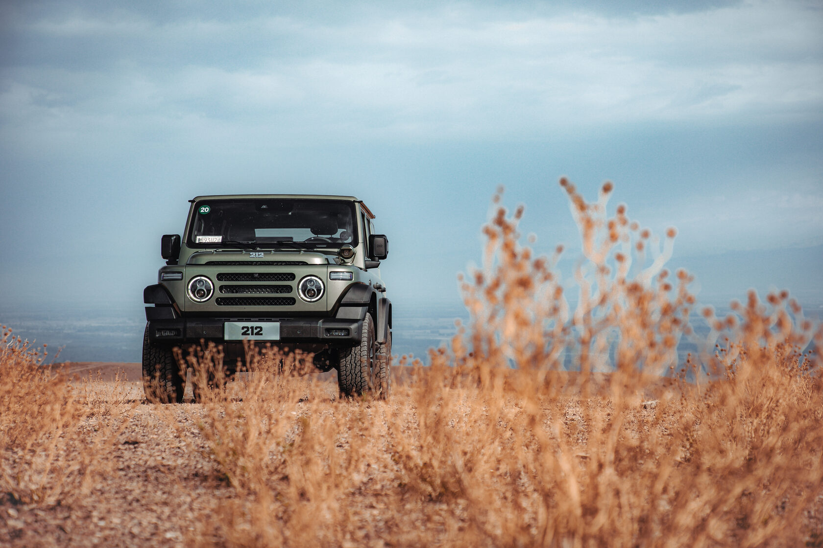 212 T01 Adventurer RUS на открытой местности с сухой травой