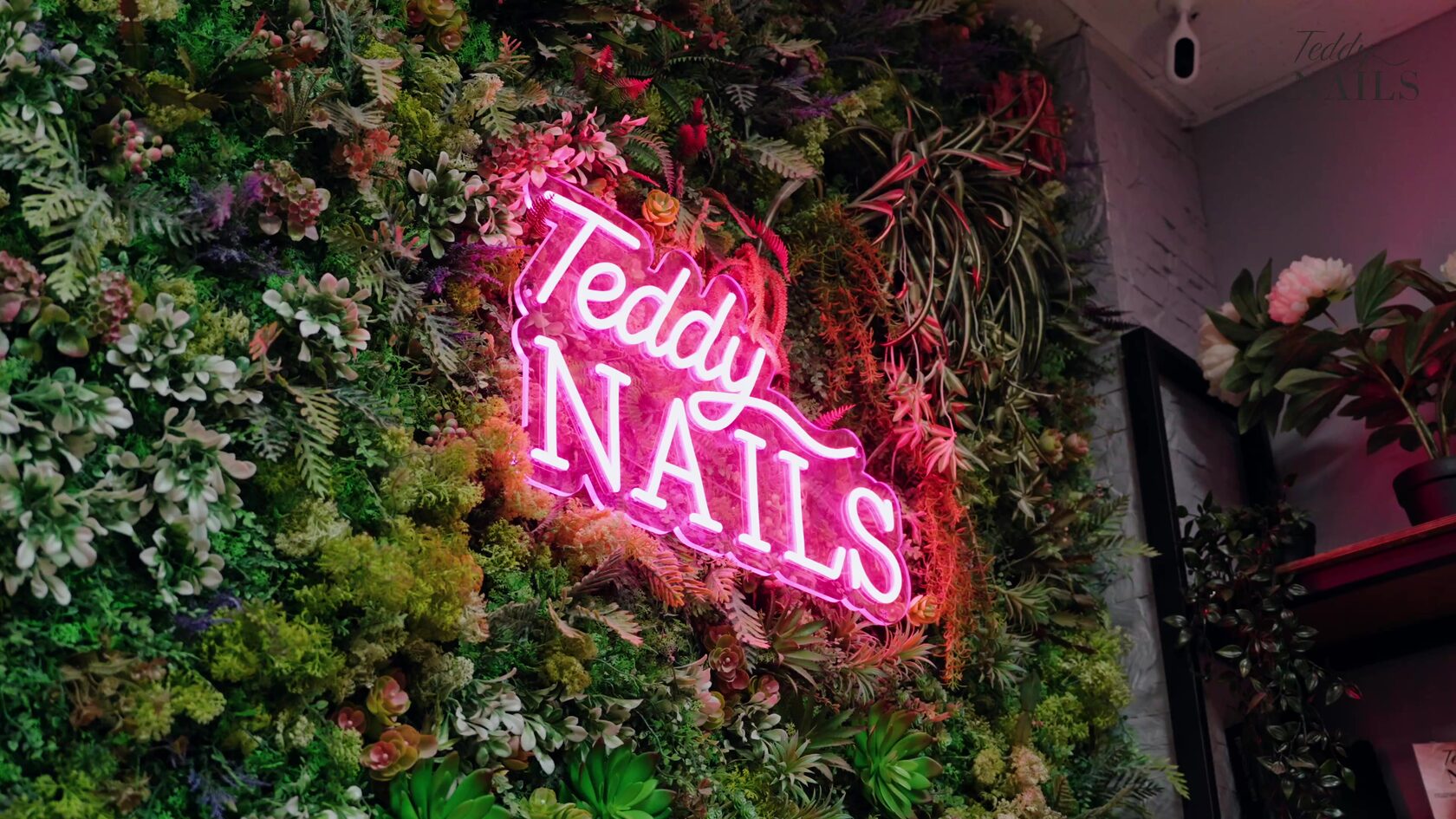Розовая неоновая вывеска Teddy Nails на стене из искусственной зелени и цветов — кадр из видео KORS для салона