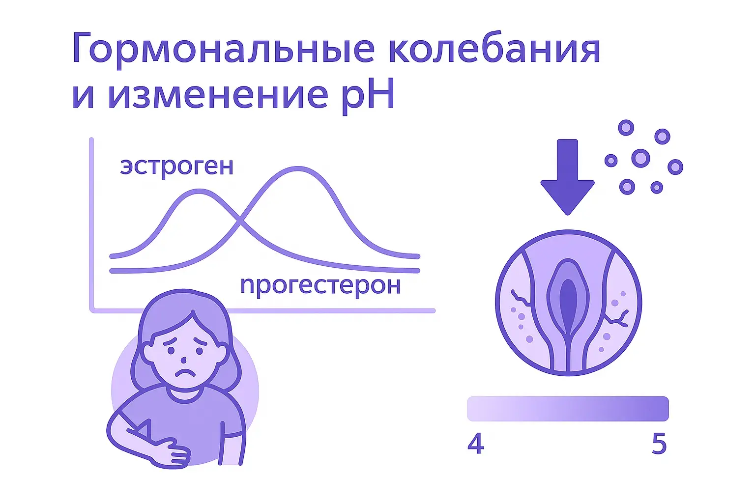 схема гормональные колебания ph