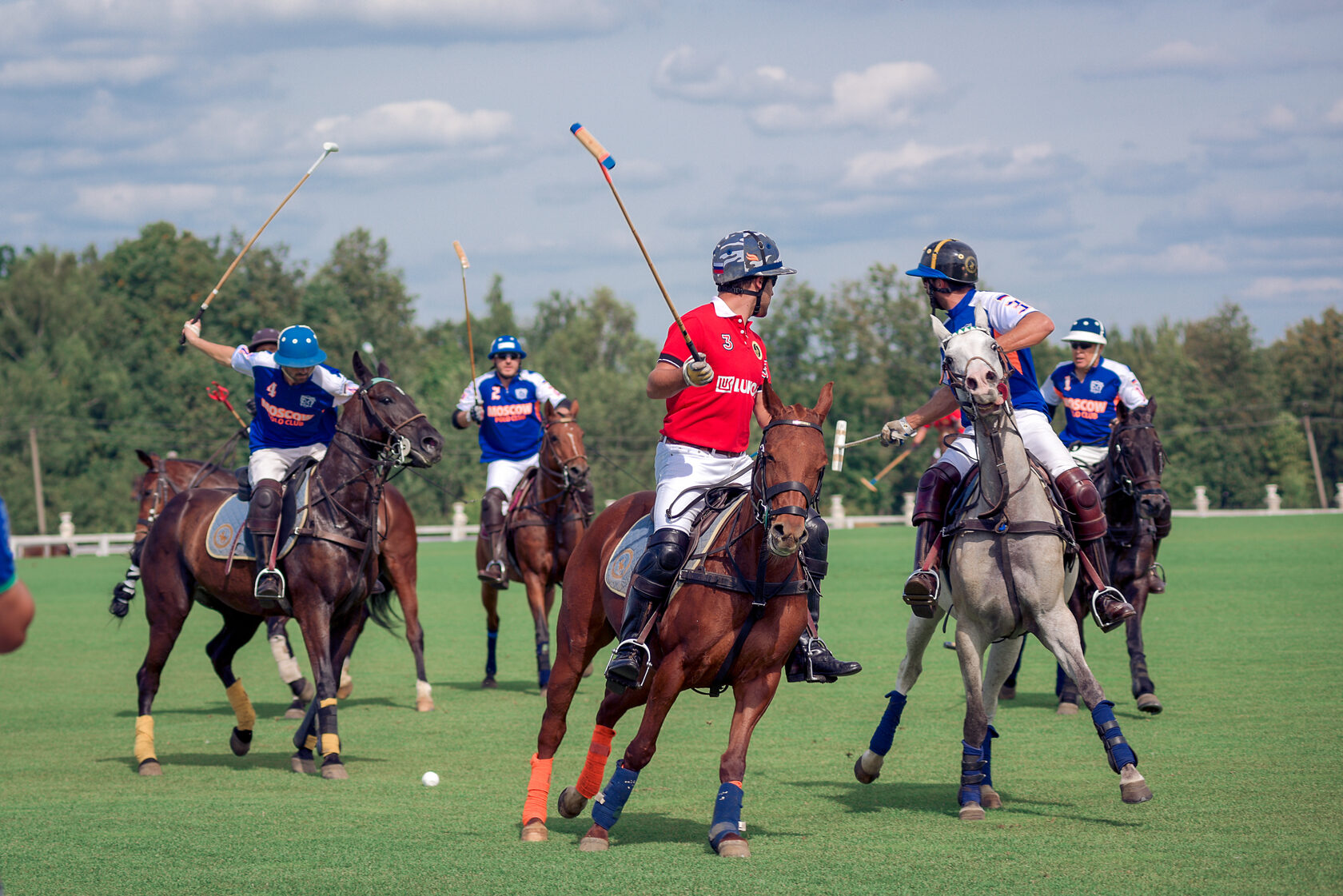 Поло клуб дымка. S20-ahw757 Polo Club бомоножкт Polo Club.