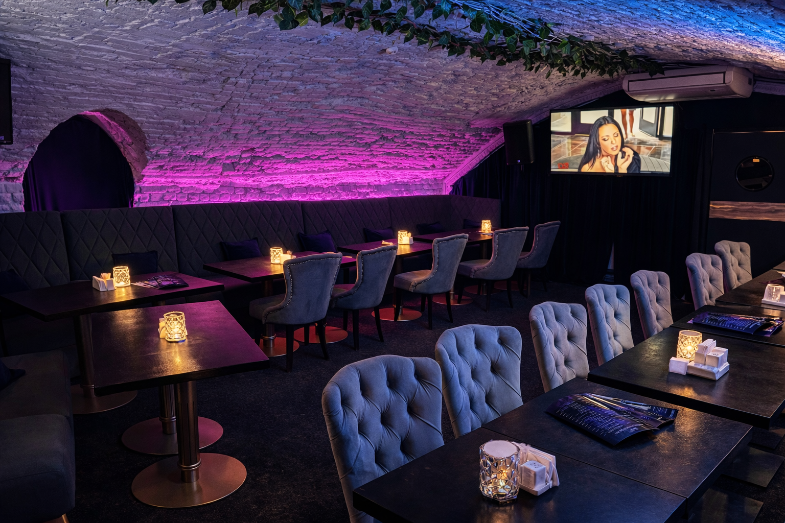 Интерьер караоке-бара Белая стрекоза