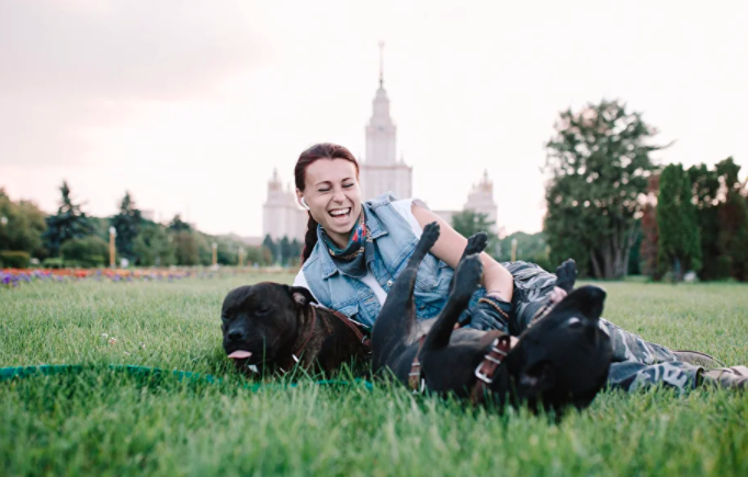 клан школа доброй кинологии
