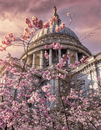 Saint Paul's Cathedral in London in spring