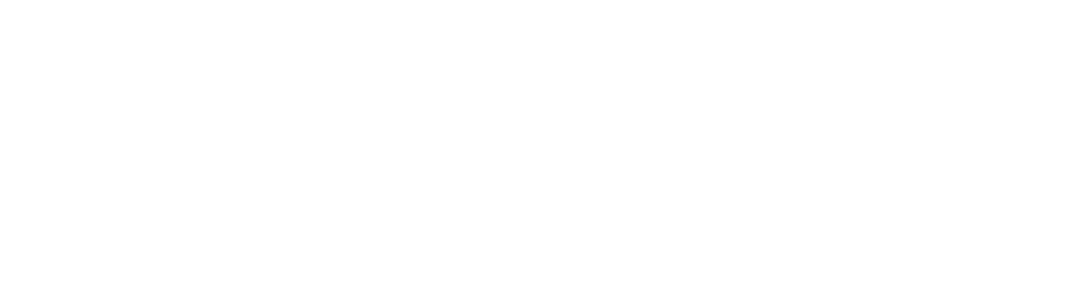 Zont Hotel