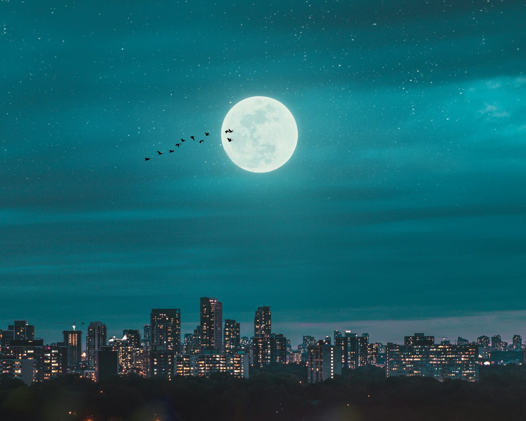 City skyline