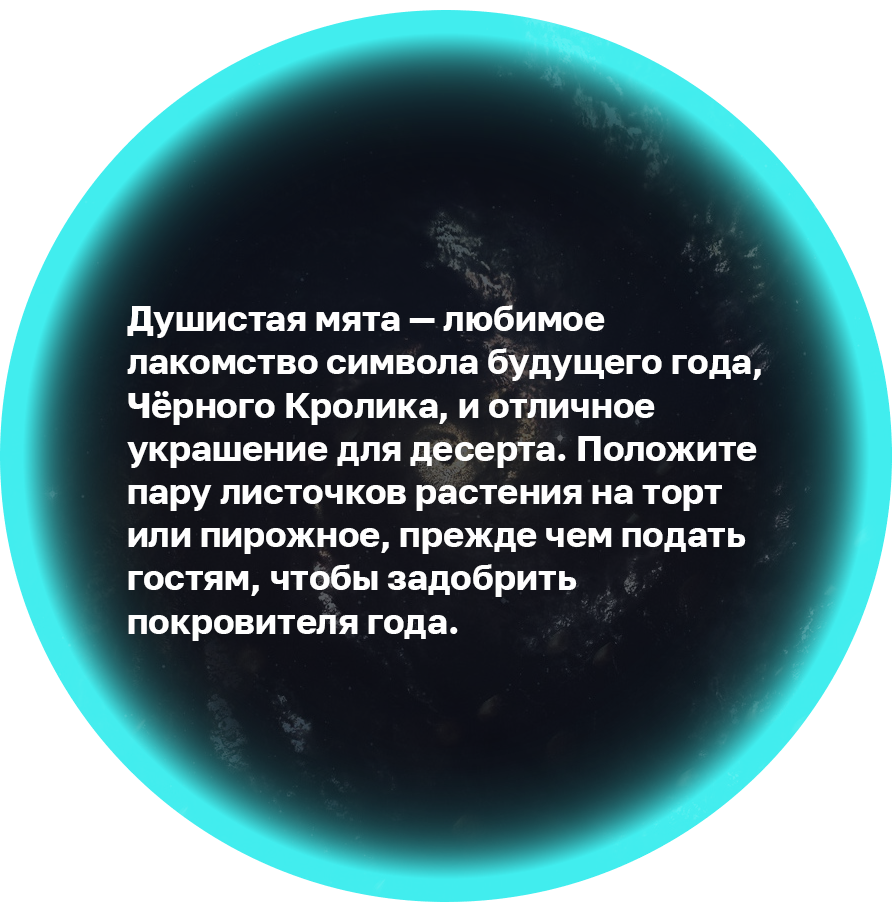 Что ждёт вас в 2023 году: узнайте у новогоднего магического шара от «Клопс»