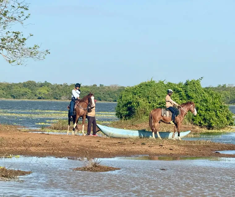Two riders pausing on horseback to assess a water crossing at Vonfidel Ranch in Punanai Sri Lanka