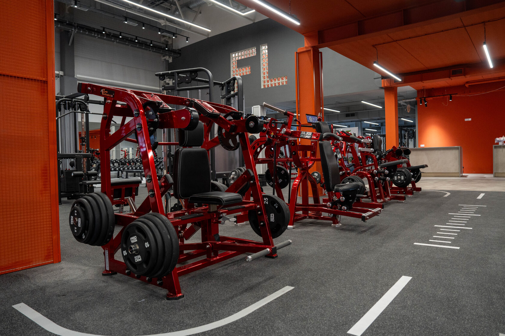 Силовые тренажёры Fitness Life