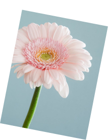 Психолог Марина Максимова