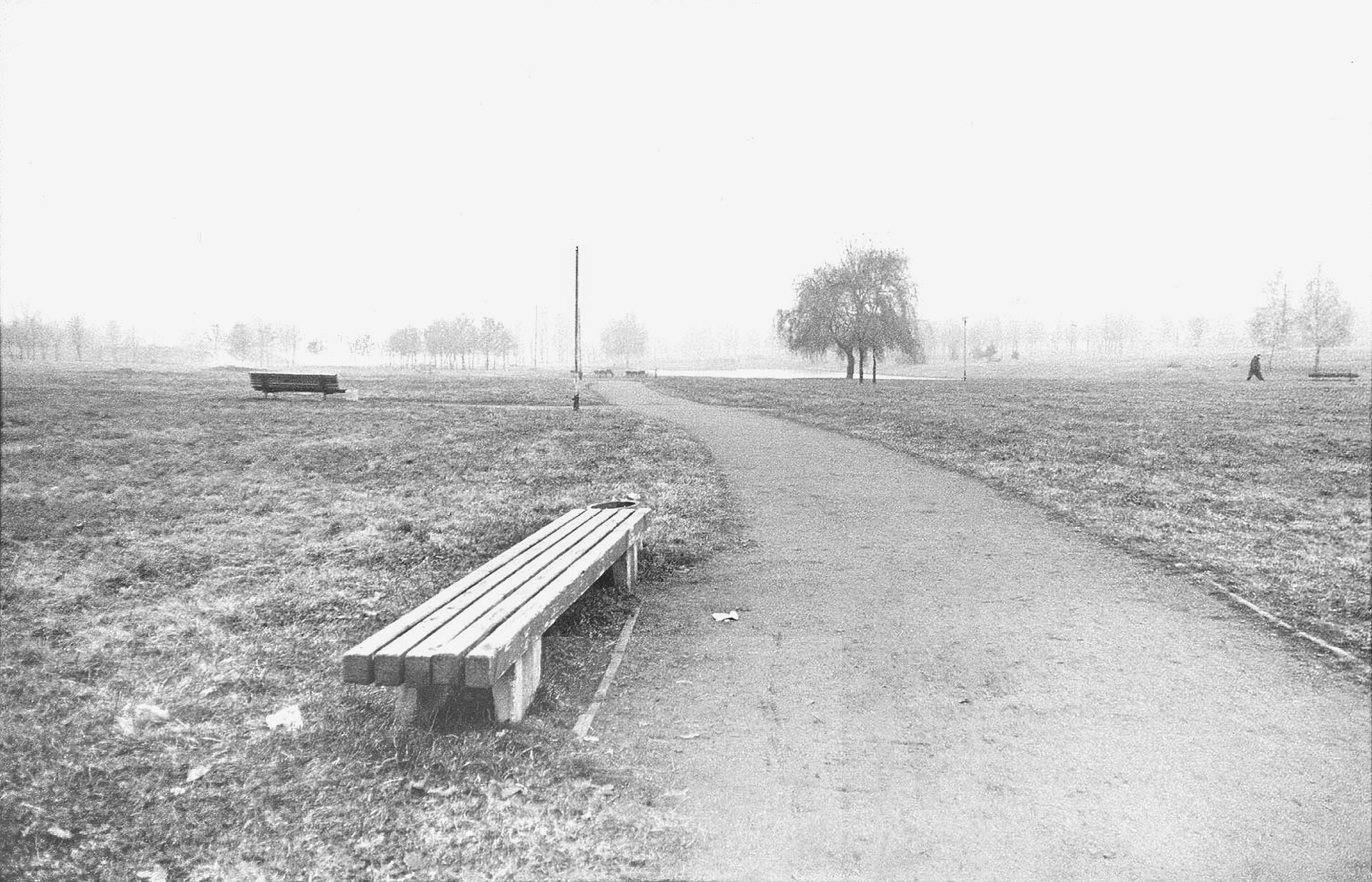 Андрей Колесников - Исчезающий ландшафт