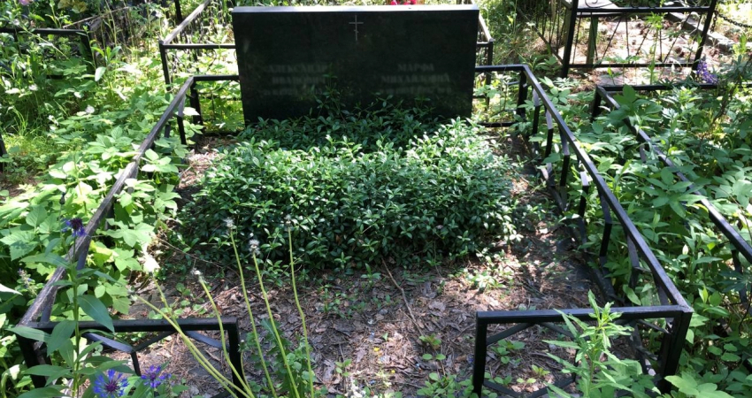Памятник и куст среди травы до ухода