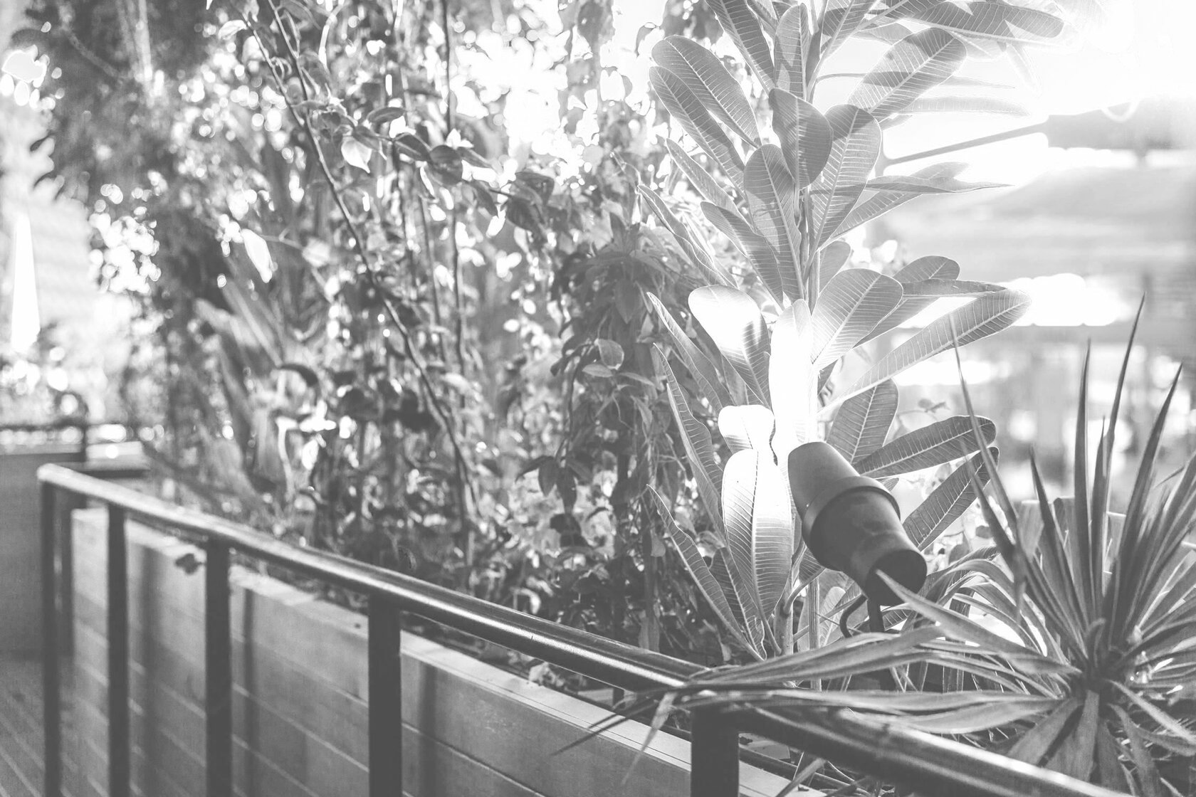 Подписывайтесь На Наш Телеграм-Канал Об Освещении!