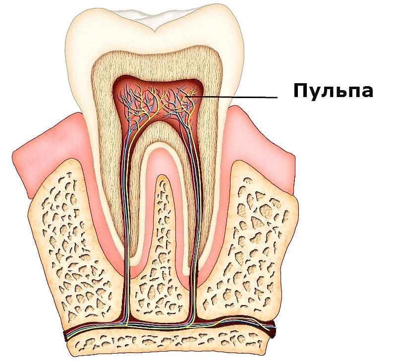 Болят передние зубы: причины, лечение