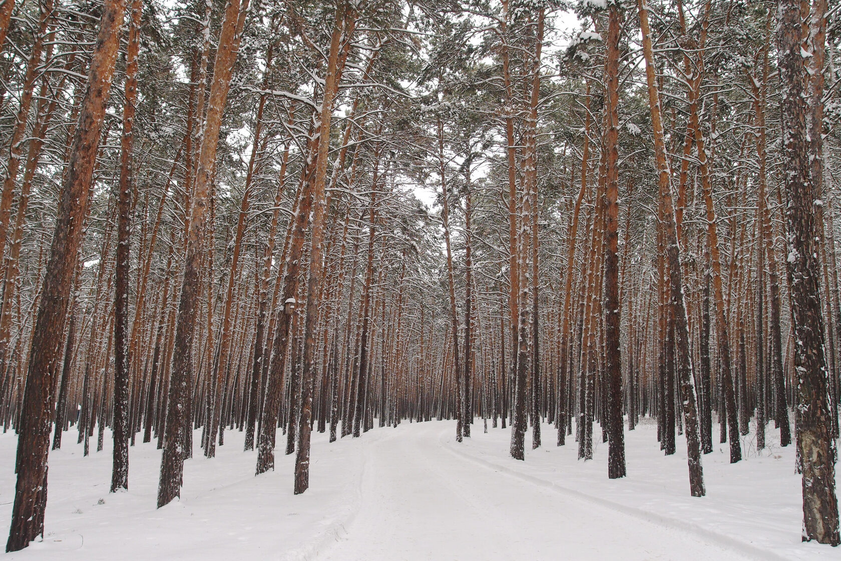 Чернолучье омск