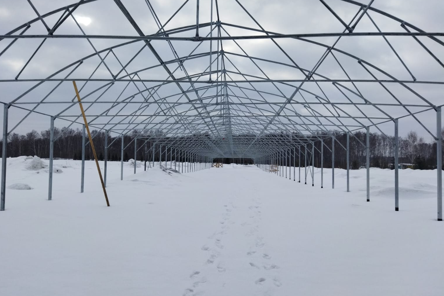 теплица изнутри