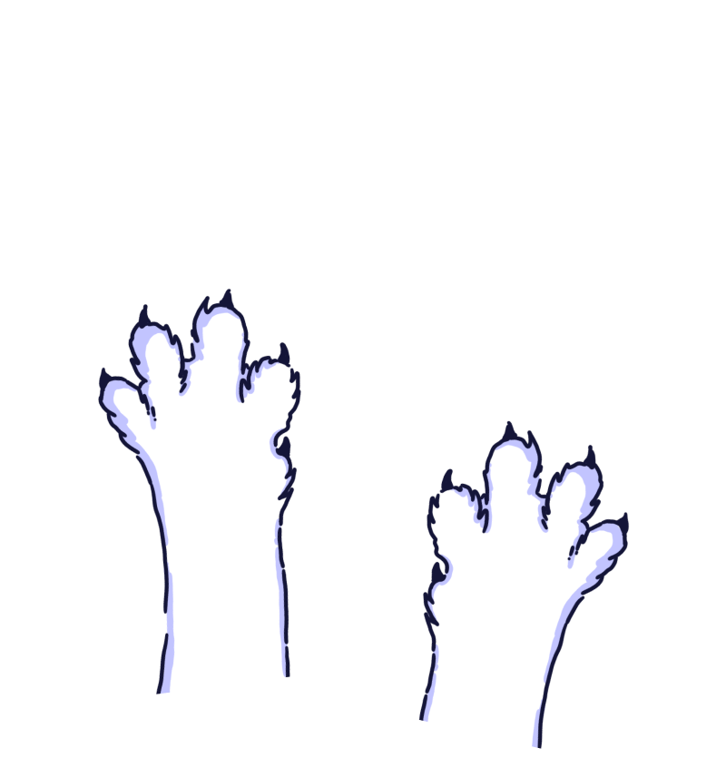 Ставь на 0: динамичная и стратегическая настолка