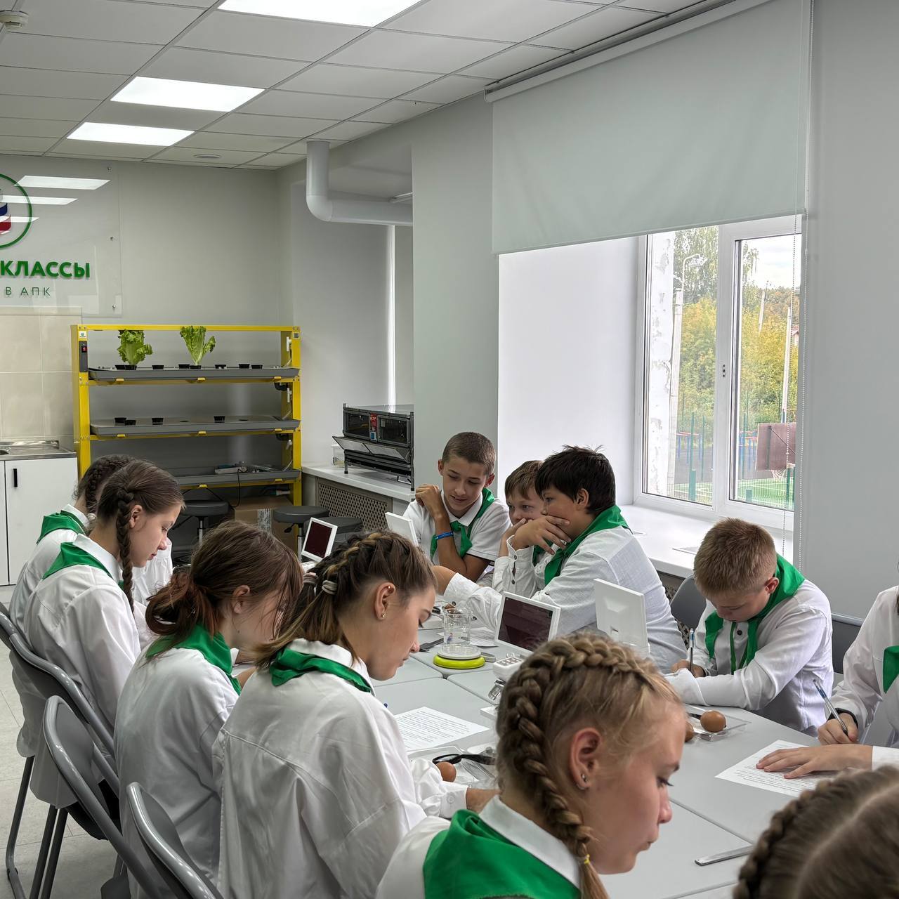 Фокинская школа — Чайковский округ · Агротехкласс
