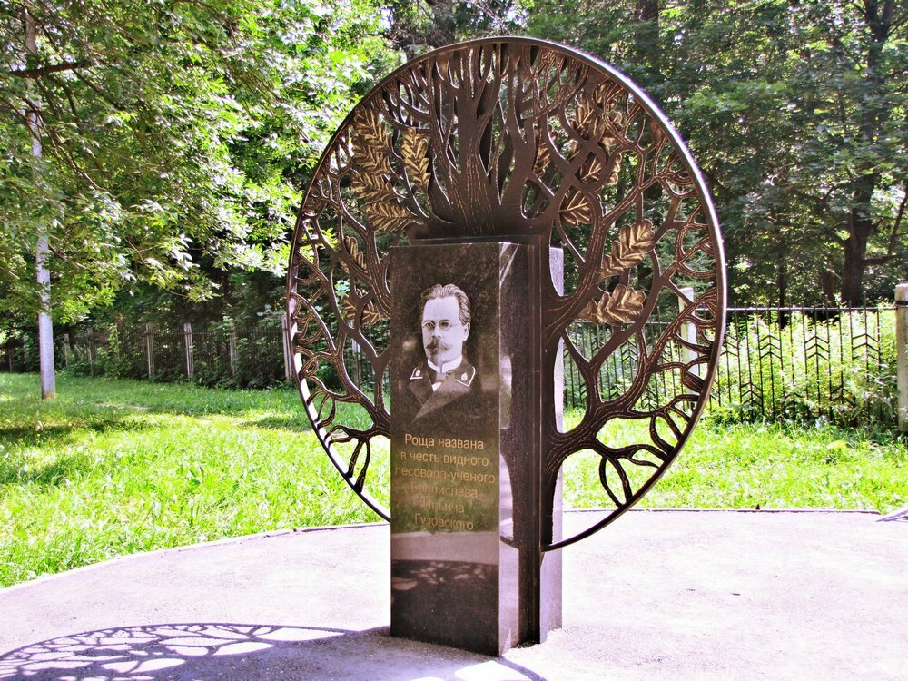 Роща баума алматы фото. Имя роща. Березовая роща удмуртия. Парк роща гузовского. Имя роща.
