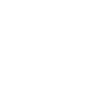 website icon
