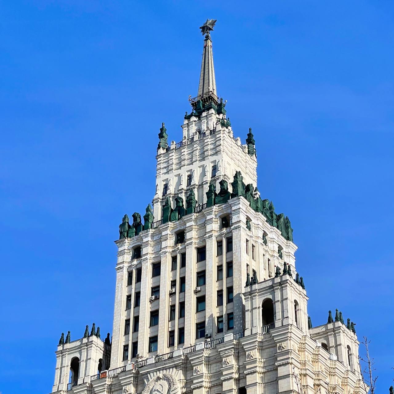 Кейс Beagle: ветклиника, Москва
