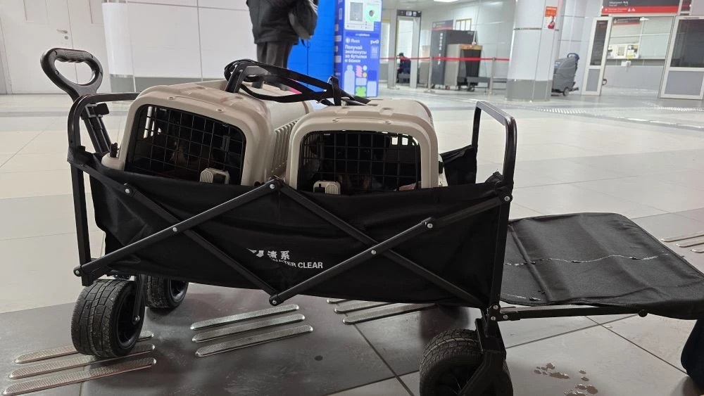 Спасительная тележка