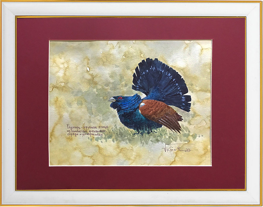 Глухарь рисунок красками