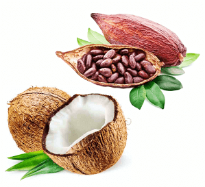 продукты из кокоса и какао купить