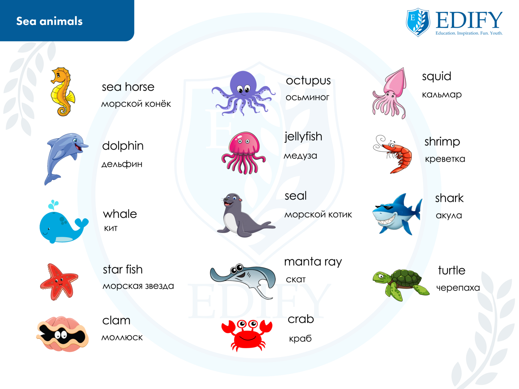 cute sea creatures names