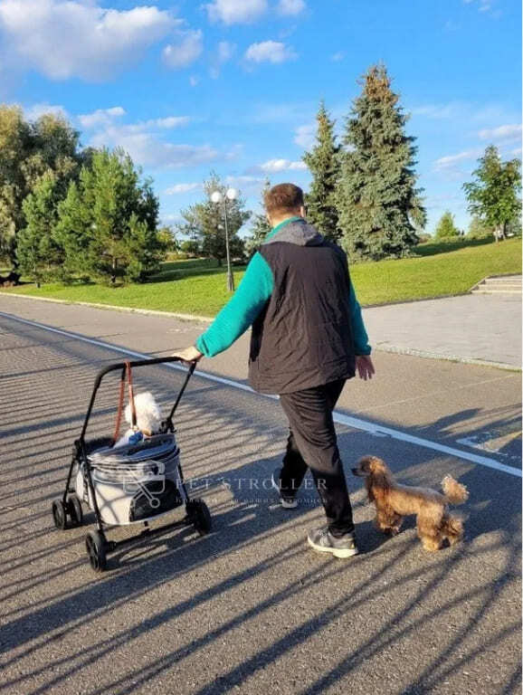 Коляска прогулочная для собак bl09-m