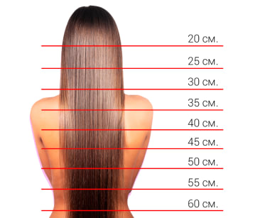 Схема длины волос
