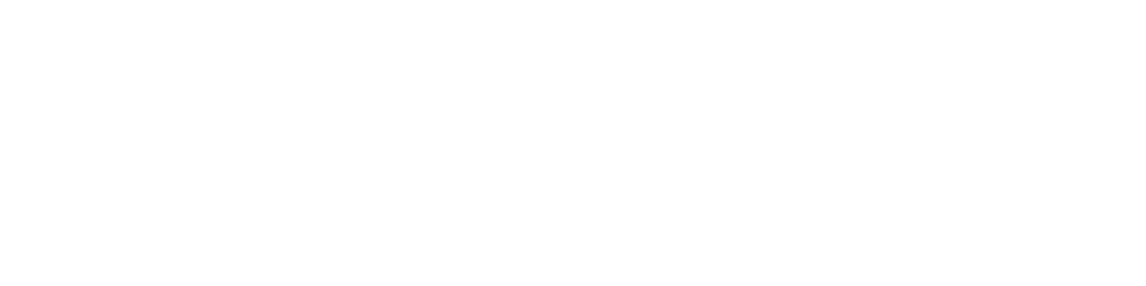 Василий Лисецкий