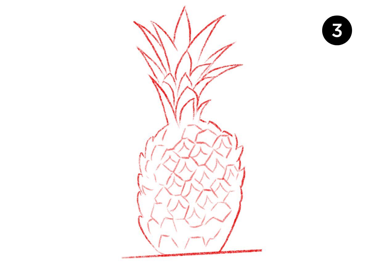 pineapple drawing 