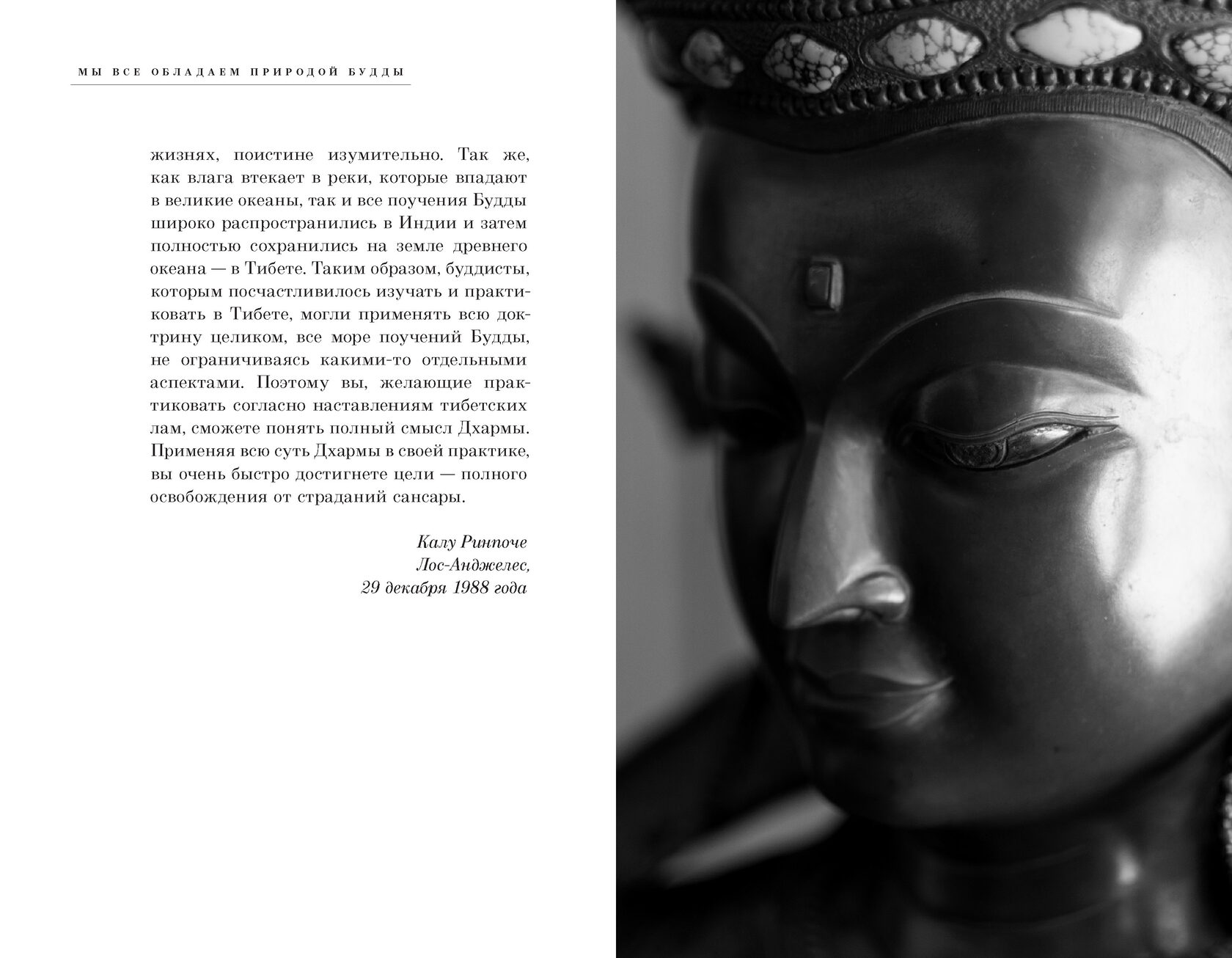 беру кхьенце ринпоче. практический буддизм. дилго кхьенце ринпоче. углублённым буддизм калу ринпоче. дзонгсар кхьенце ринпоче - четыре печати.