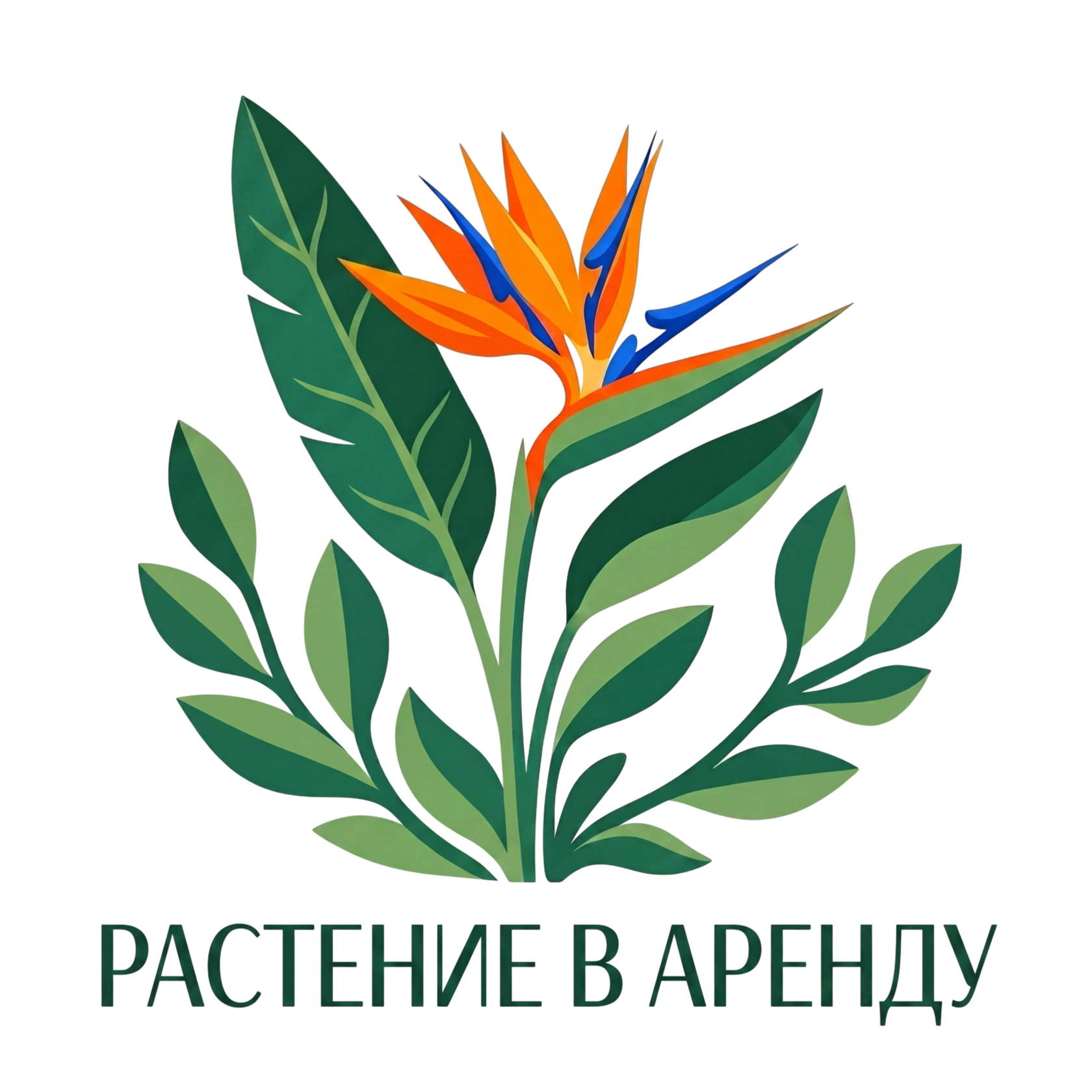 COMPANY