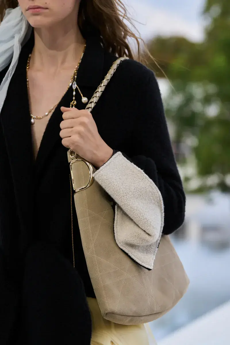 Сумки Dior Spring 2027 38