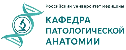 Кафедра патологической анатомии — Российский университет медицины