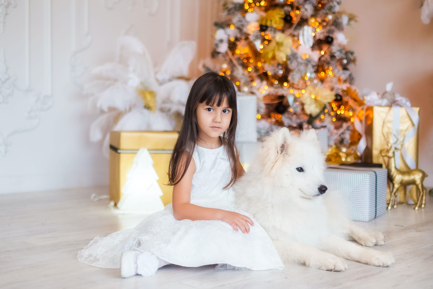 ��������� ������, ���������� ���������� �� ������������ ���������