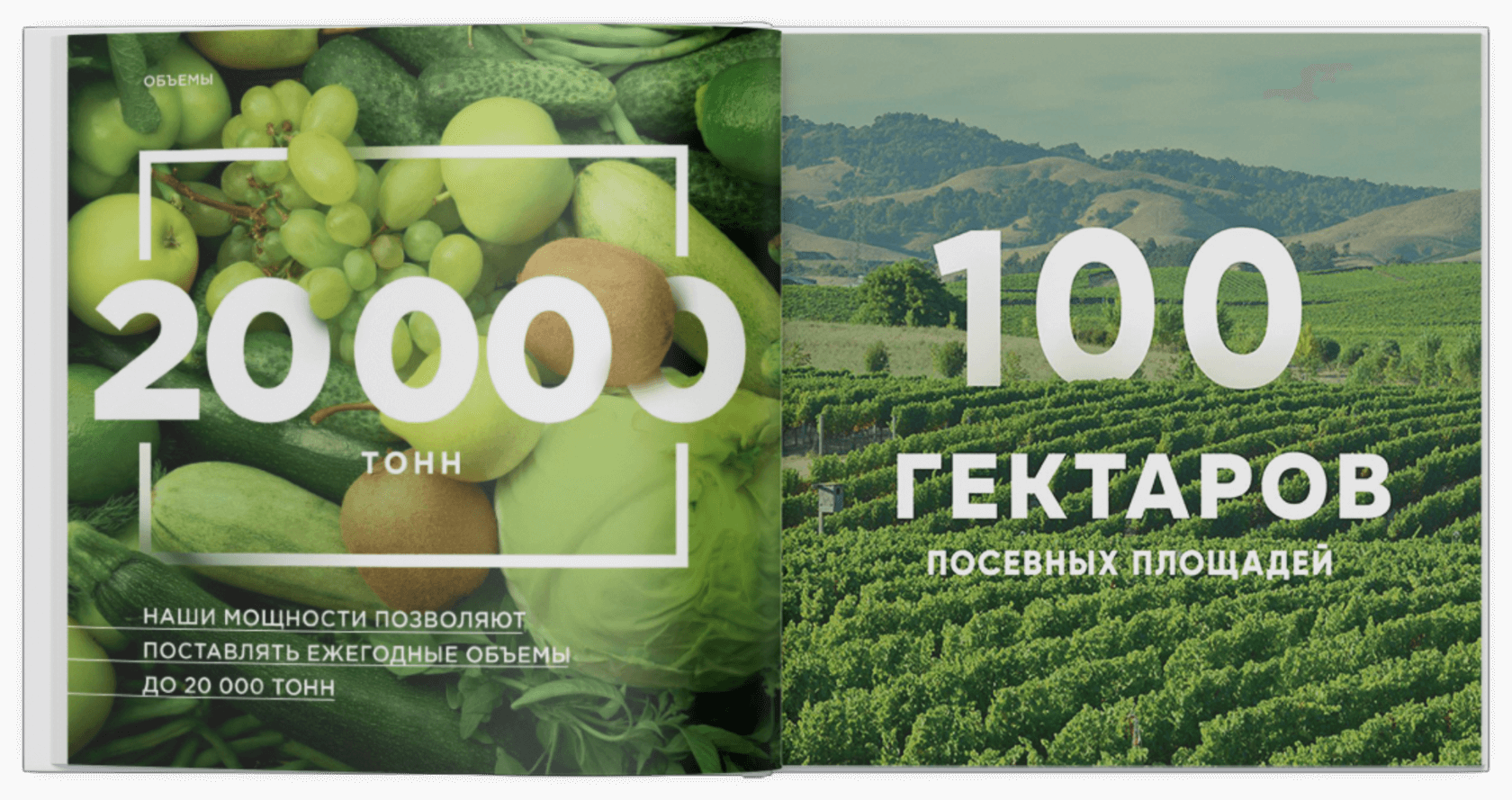 маркетинг-кит