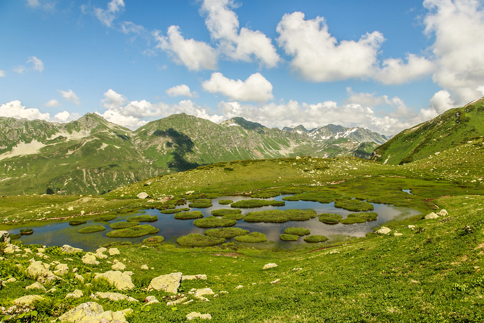 Альпийские луга абхазия фото